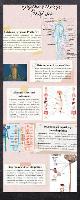 Infografia Creaativa Proyecto Ilustrado Colorido