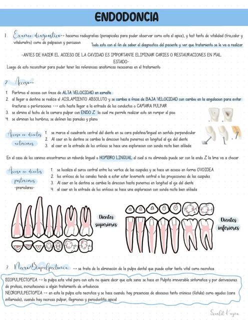 PASO A PASO ENDODONCIA