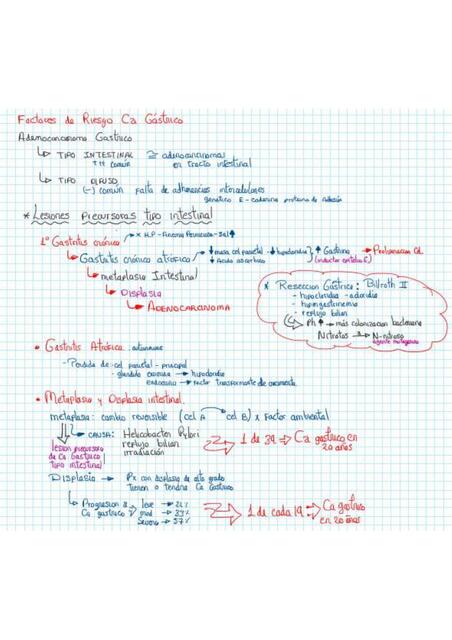 FACTORES DE RIESGO PARA CANCER GÁSTRICO