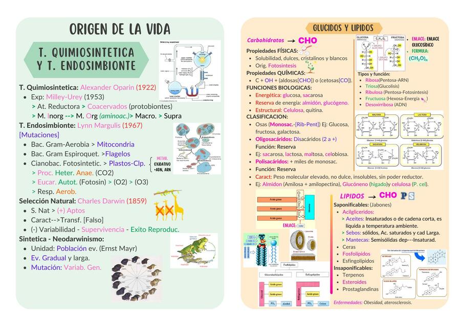 1ros temas-Biología