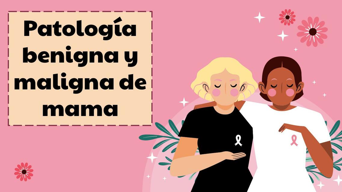 Patología mamaria benigna y maligna DIAPOSITIVAS