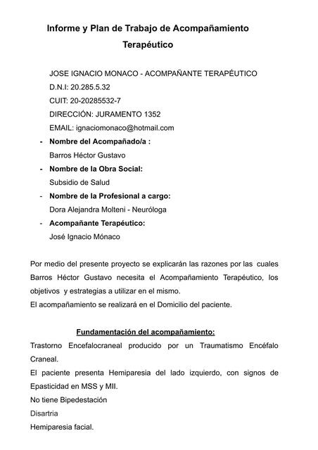 Informe y Plan de Trabajo de Acompañamiento Terapé