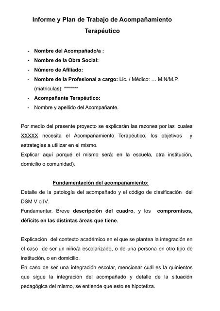 Informe y Plan de Trabajo de Acompañamiento Terapé