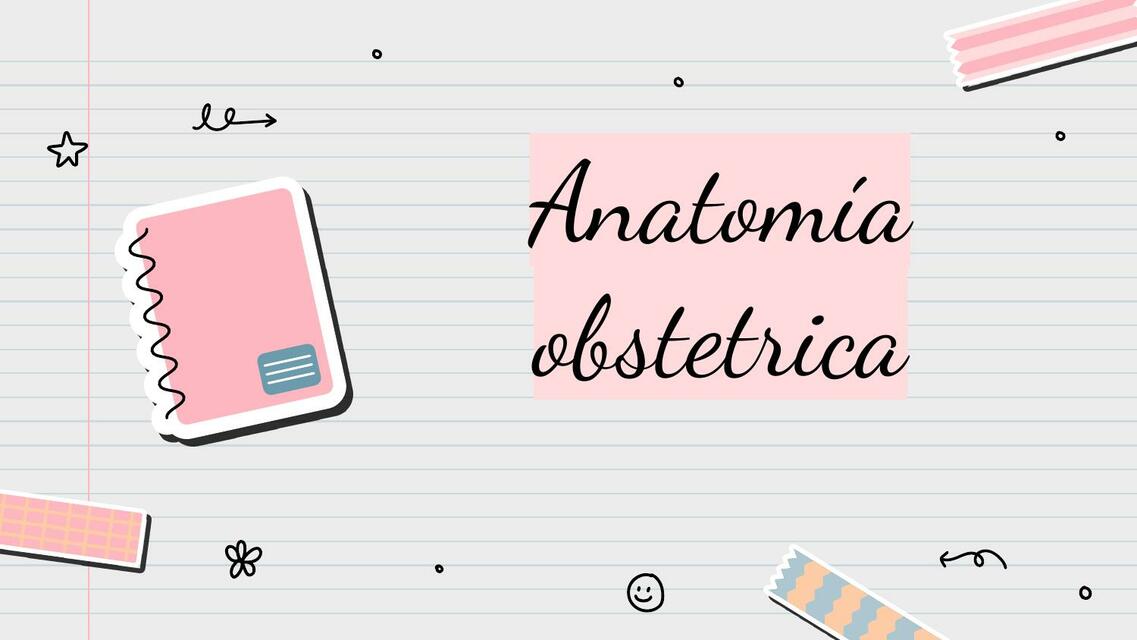 Anatomía obstetrica