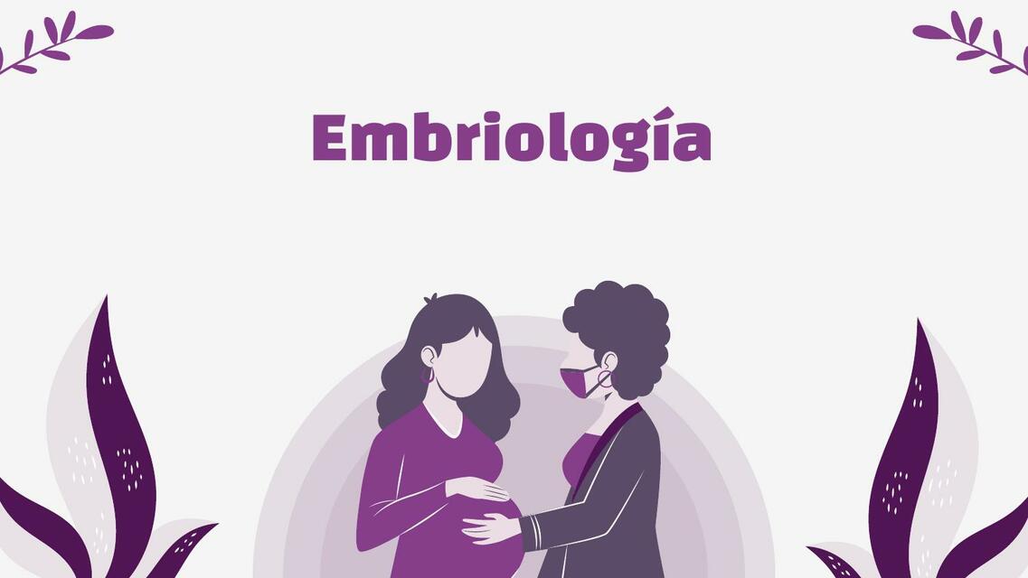 Embriologia