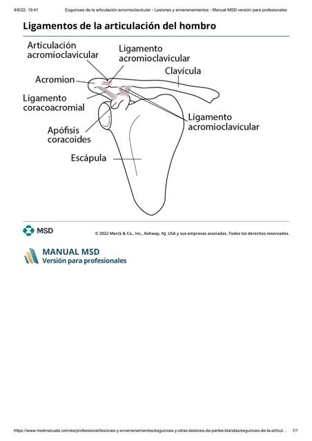 Esguinces de la articulación acromioclavicular Les