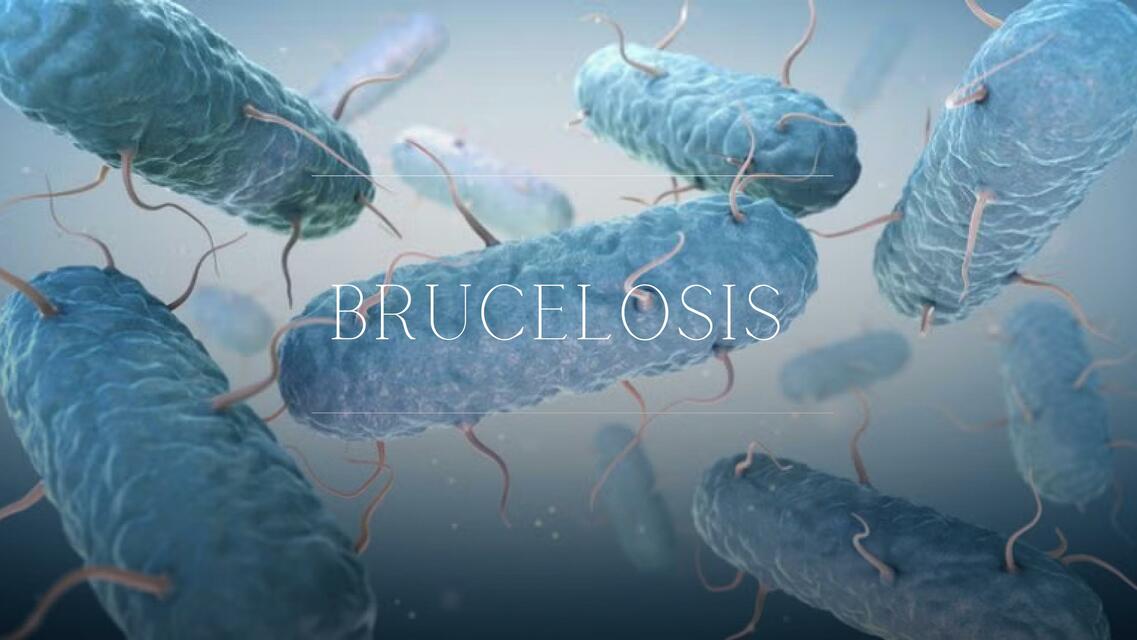 Brucelosis Leptospirosis y NORMAS DE BIOSEGURIDAD