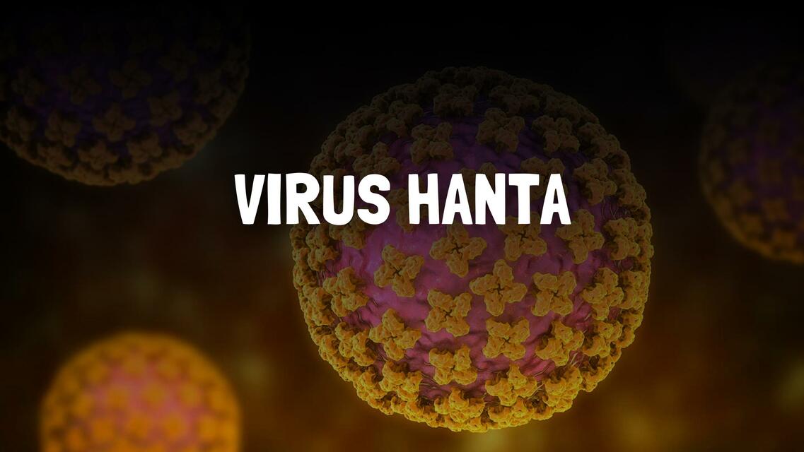 Hanta virus INFECTOLOGÍA