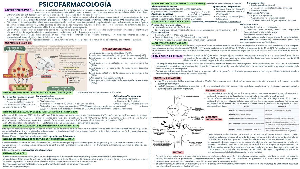 Psiquiatría 14