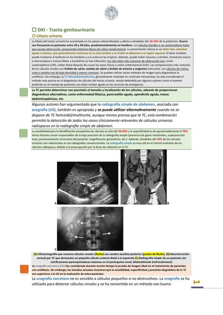 DXI - Tracto genitourinario