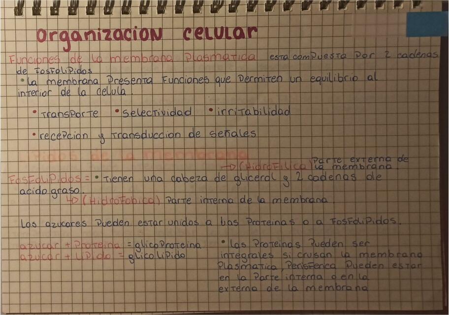 biologia unidad 2