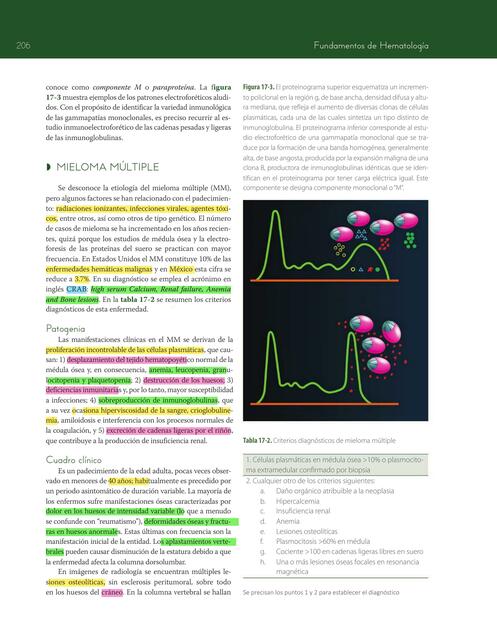 Mieloma múltiple (fundamentos de hematología)