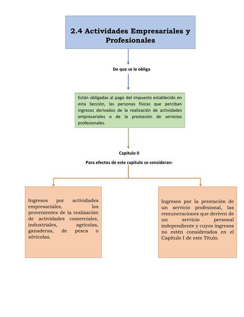 2 4 Actividades Empresariales y Profesionales