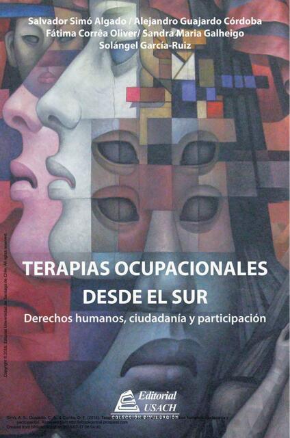 Libro Terapias Ocupacionales desde el Sur 1