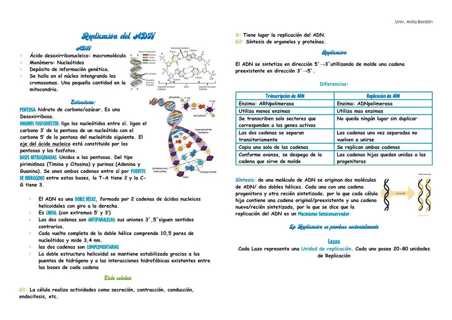 Replicación del ADN