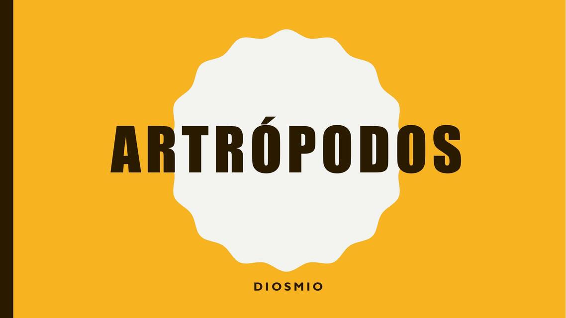 3 Artrópodos