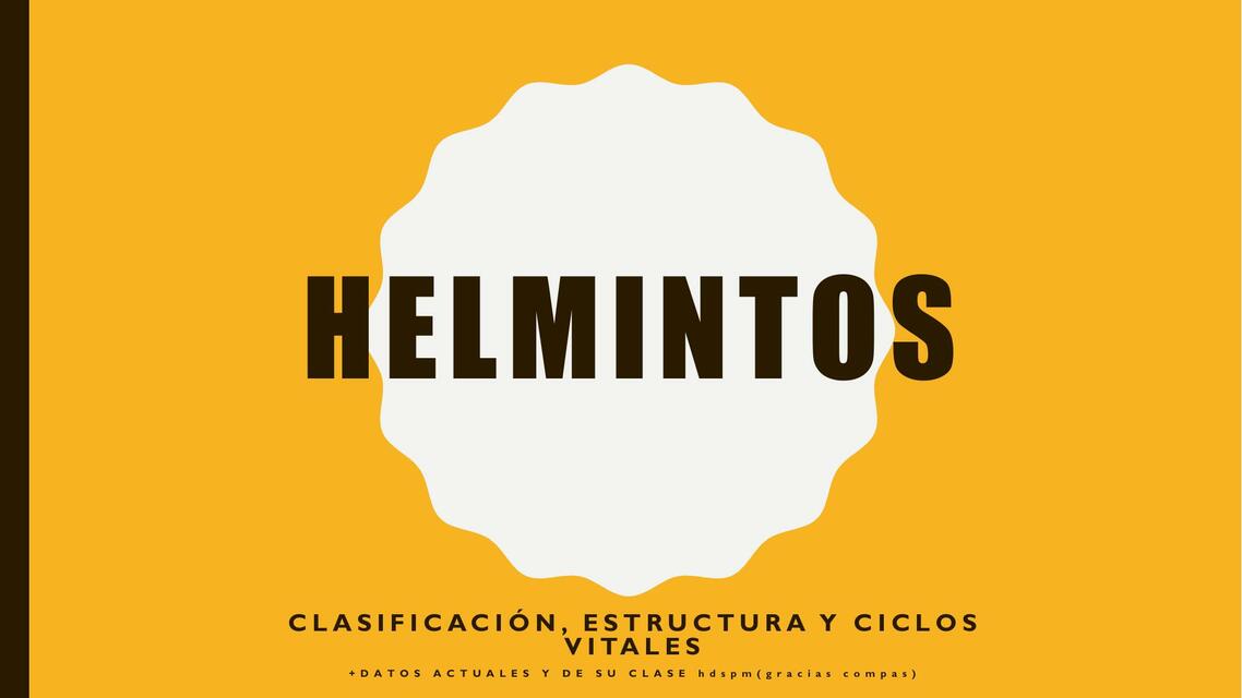 4 Helmintos