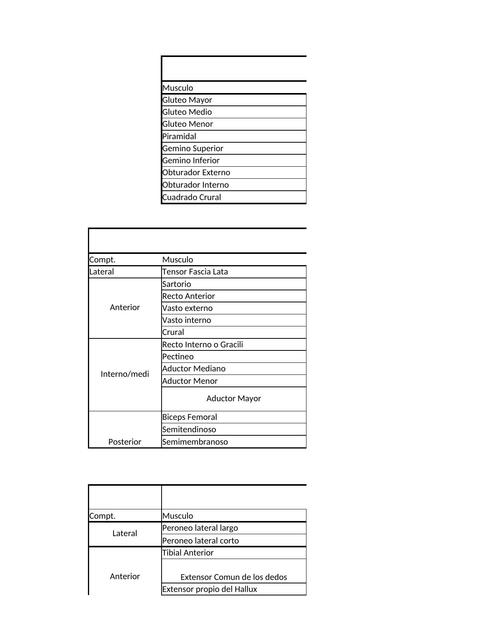 Musculos de Extremidades inferiores