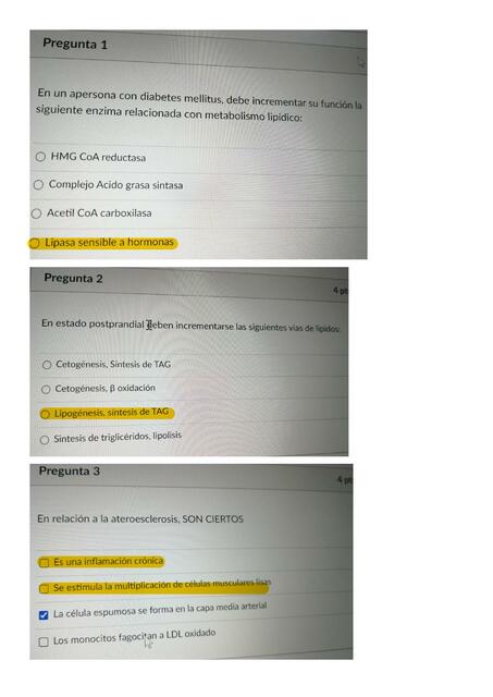 EXAMEN BIOCA sem11