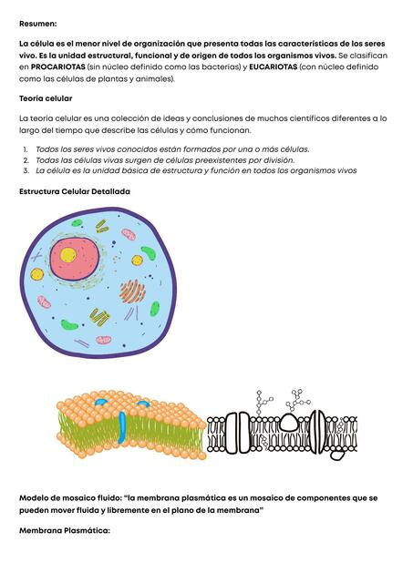 Resumen 1° bimestre Biología General