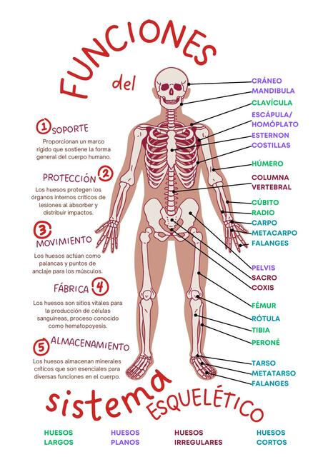 Resumen 2° bimestre Biología General