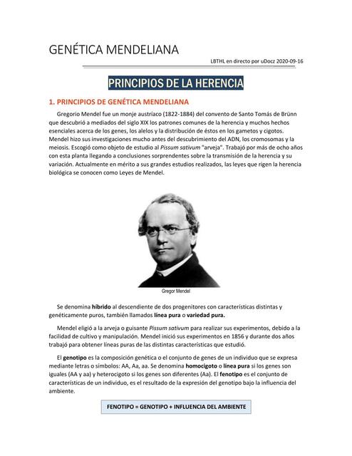 Genética Mendeliana (LBTHL)