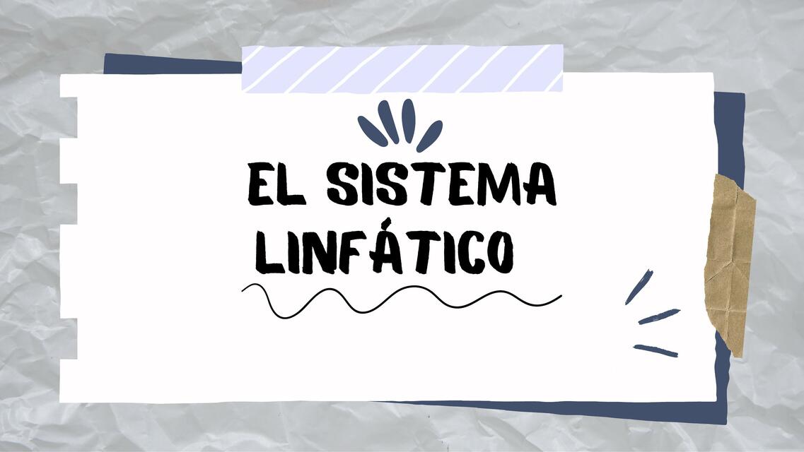 Sistema Linfatico Udocz