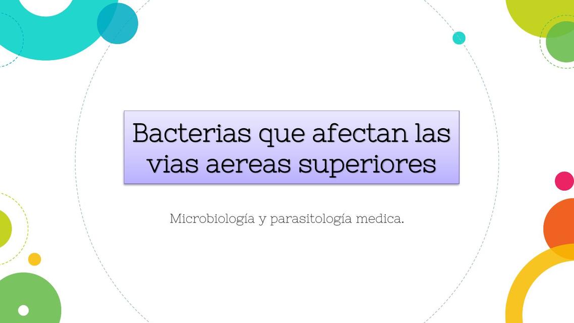 bacteria streptococo pyogenes microbiologia