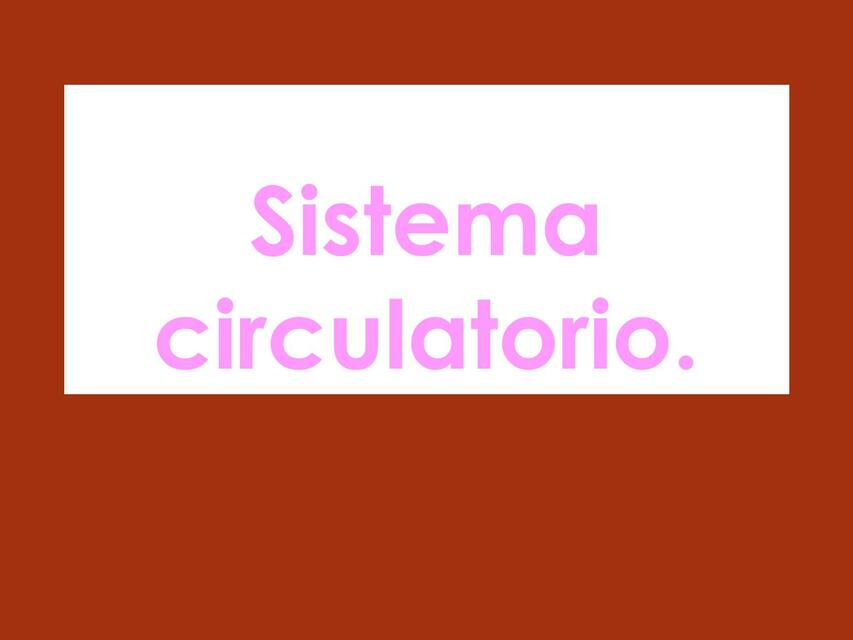 SISTEMA CARDIOVASCULAR