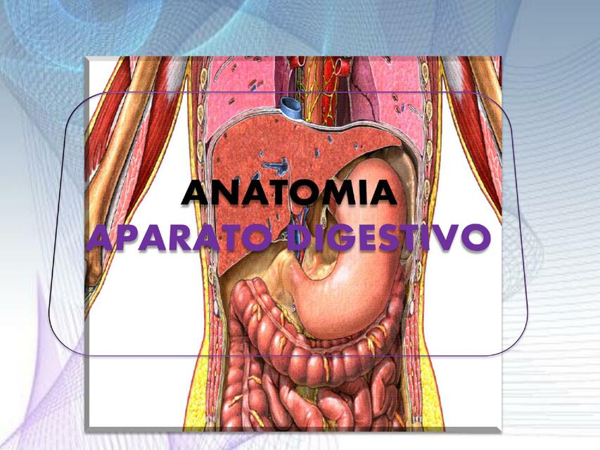 SISTEMA DIGESTIVO