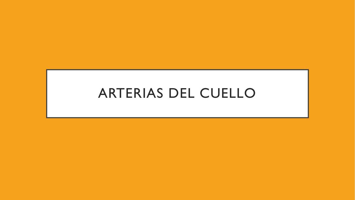 Arterias del cuello anatomia 