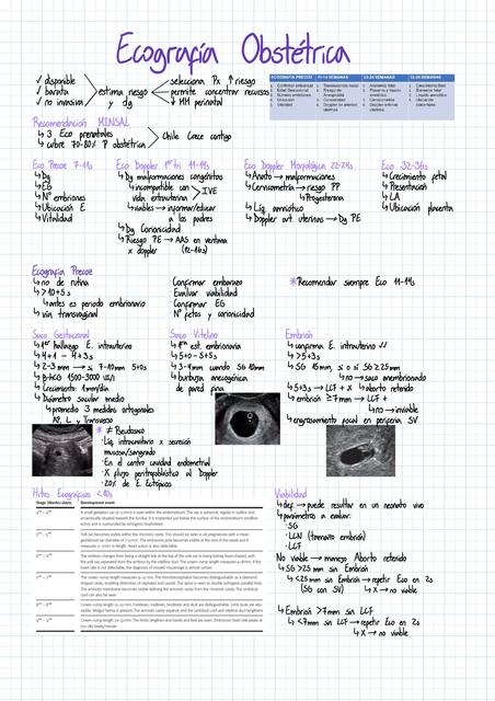 Ecografía Obstétrica