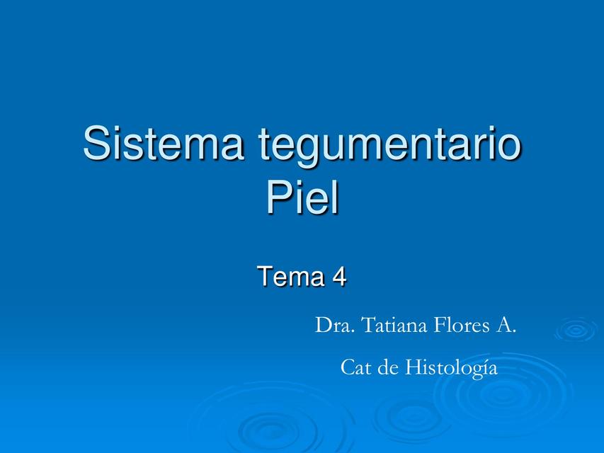 SISTEMA TEGUMENTARIO Y SU COMPOSICIÓN