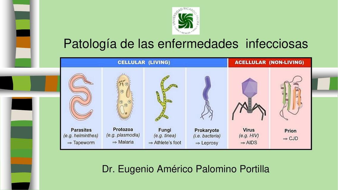 Clase 12 Patología de las Enfermedades Infecciosa | sisza Capcha | uDocz