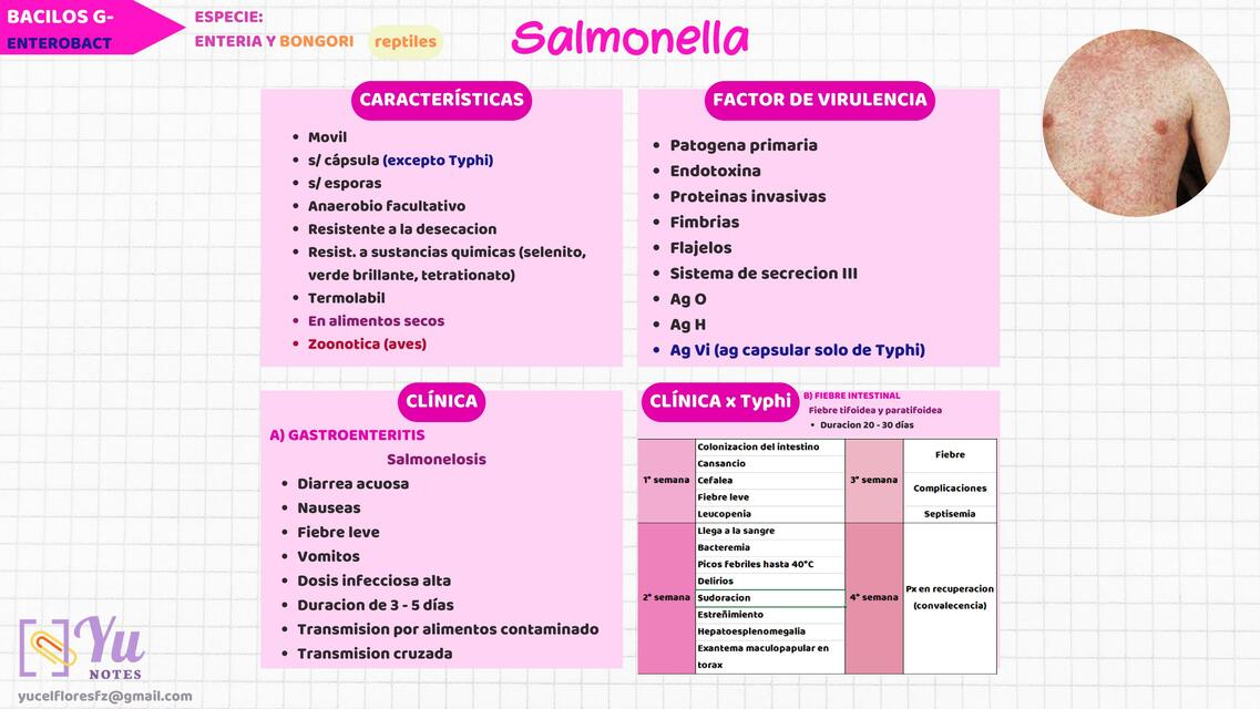 SALMONELLA