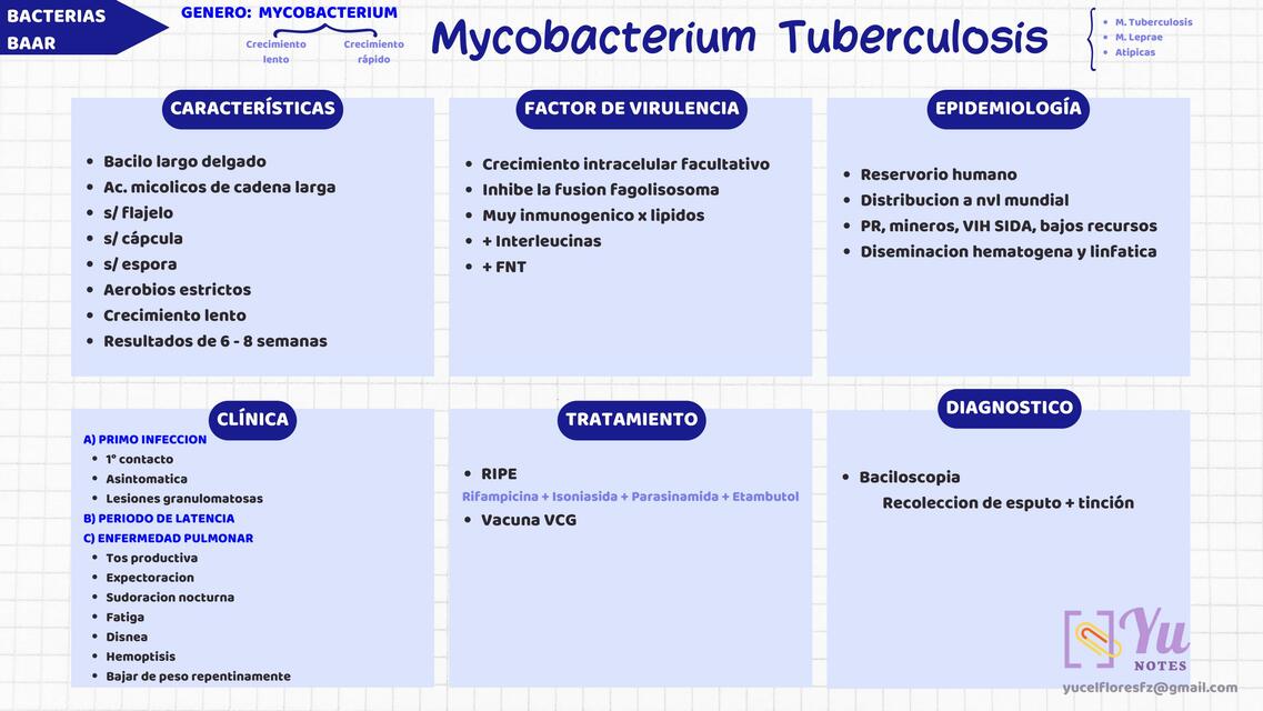 MYCOBACTERIUM TUBERCULOSIS