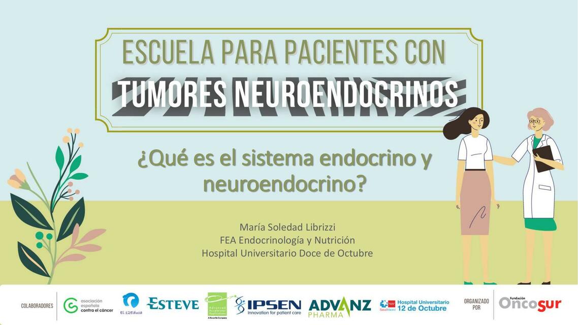 Anatomía Sistema Endocrino 2 María Soledad Librizz