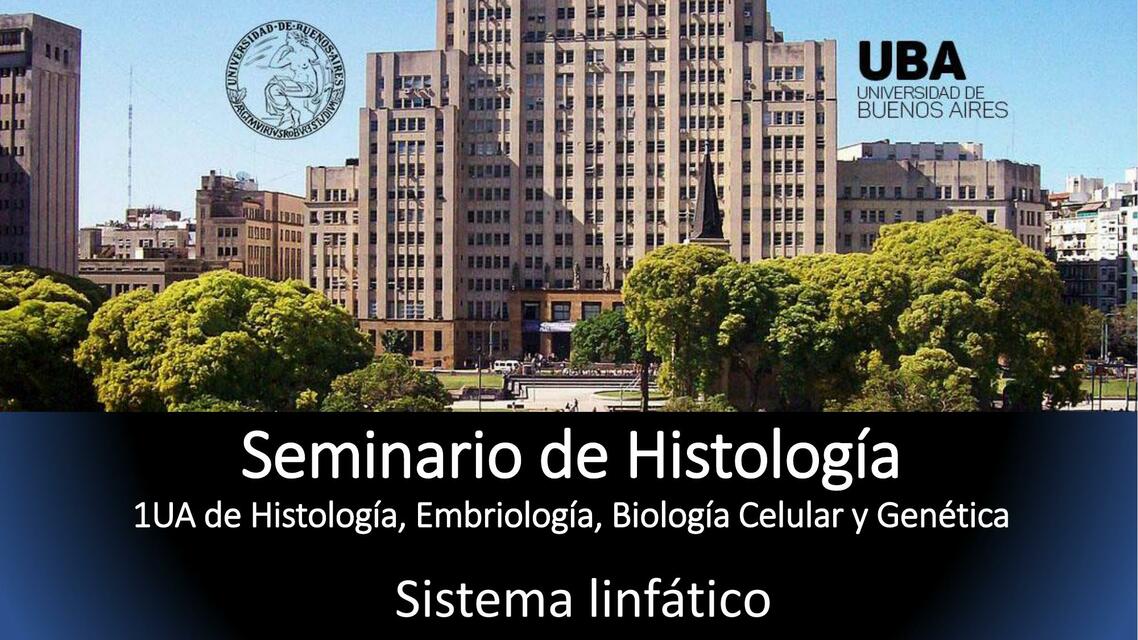 Anatomía Sistema Linfático Universidad de Buenos A