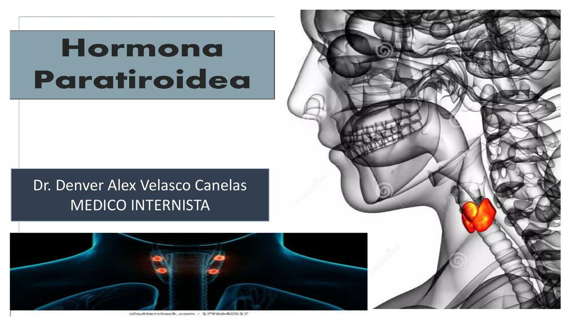 HORMONAS PARATIROIDEAS TEMA COMPLETO 1