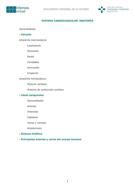 08 Sistema cardiovascular anatomía autor Avelina T