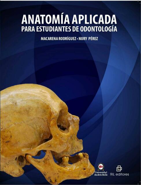 Anatomía Aplicada para Estudiantes de Odontología