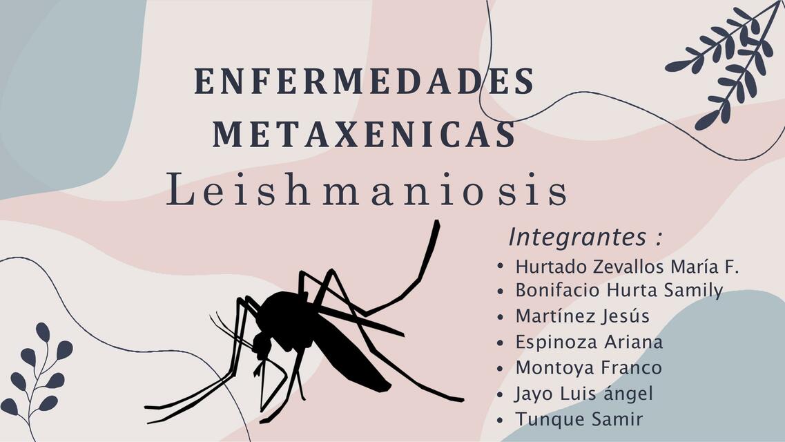 ENFERMEDADES METAXENICAS Lehxmisionis 1