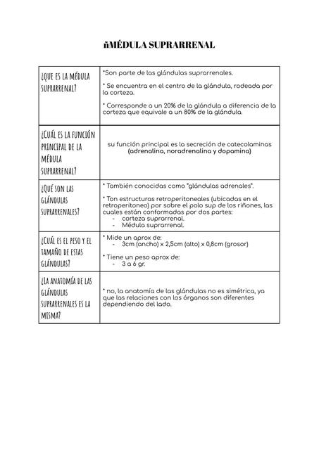 MÉDULA SUPRARRENAL