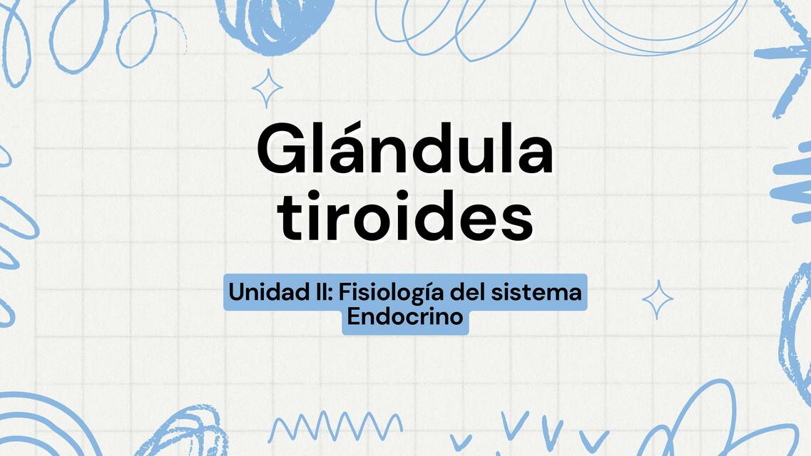 Fisiología de la Glándula Tiroides