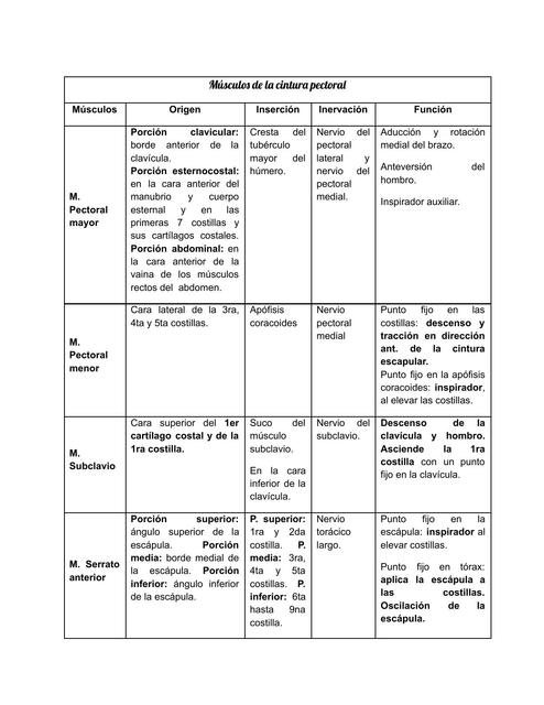 tabla músculos miembro superior