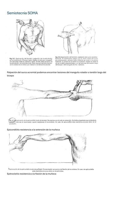 Semiotecnia SOMA