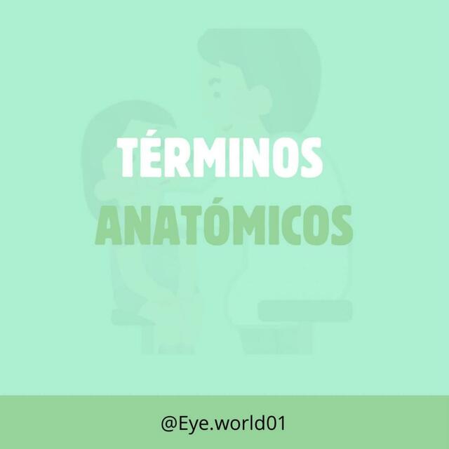 Términos anatómicos