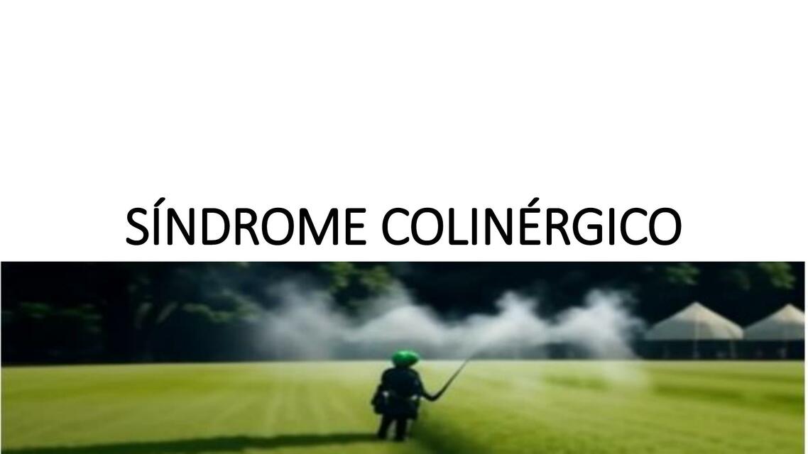 SÍNDROME COLINÉRGICO Diapositivas