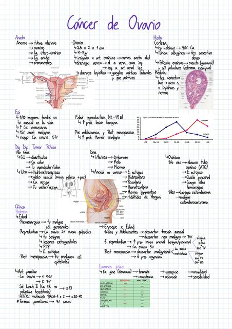 Cáncer de Ovario