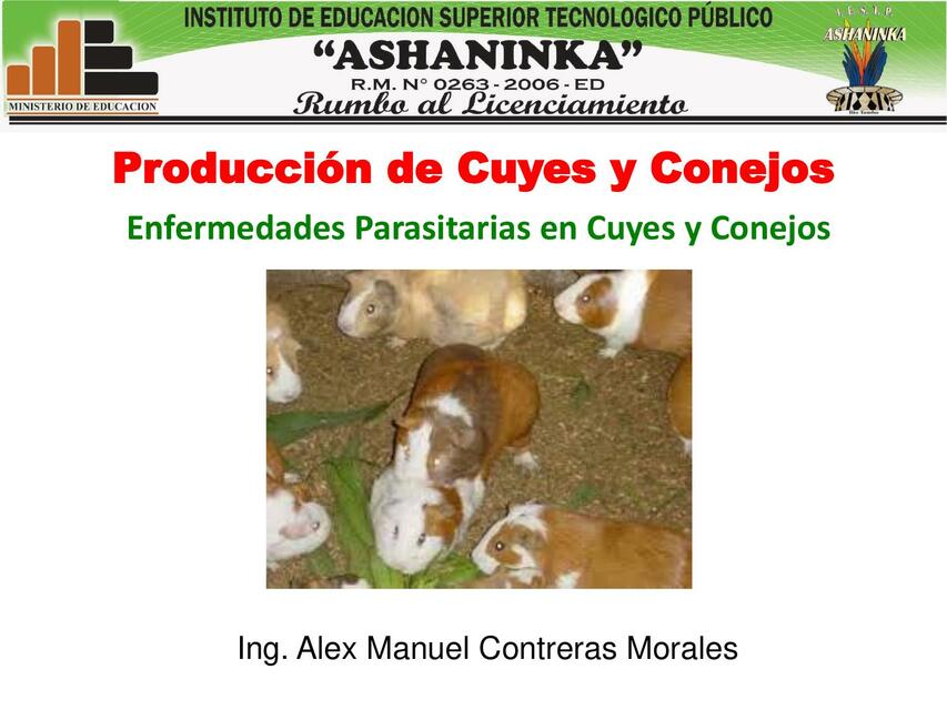 Act N 14 Enfermedades Parasitarias en Cuyes y Cone